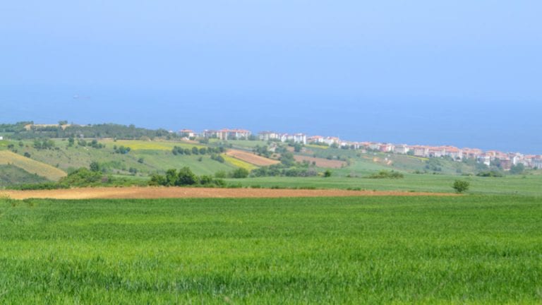 Koronavirüs Salgını Yabancıların Arsa ve Konut Alımını Etkiledi!