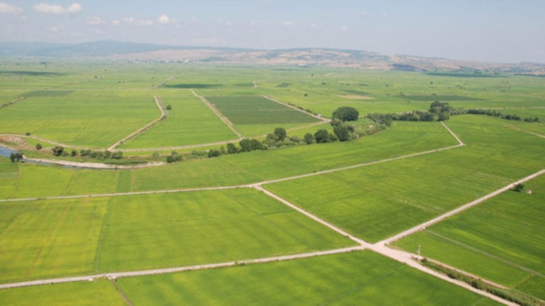 Gayrimenkulde Yeni İlgi Odağı: Arsalar!