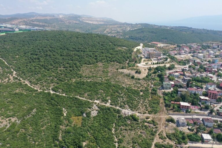 Dilovası Hastane Bağlantı Yolu Viyadüğü Yapılacak