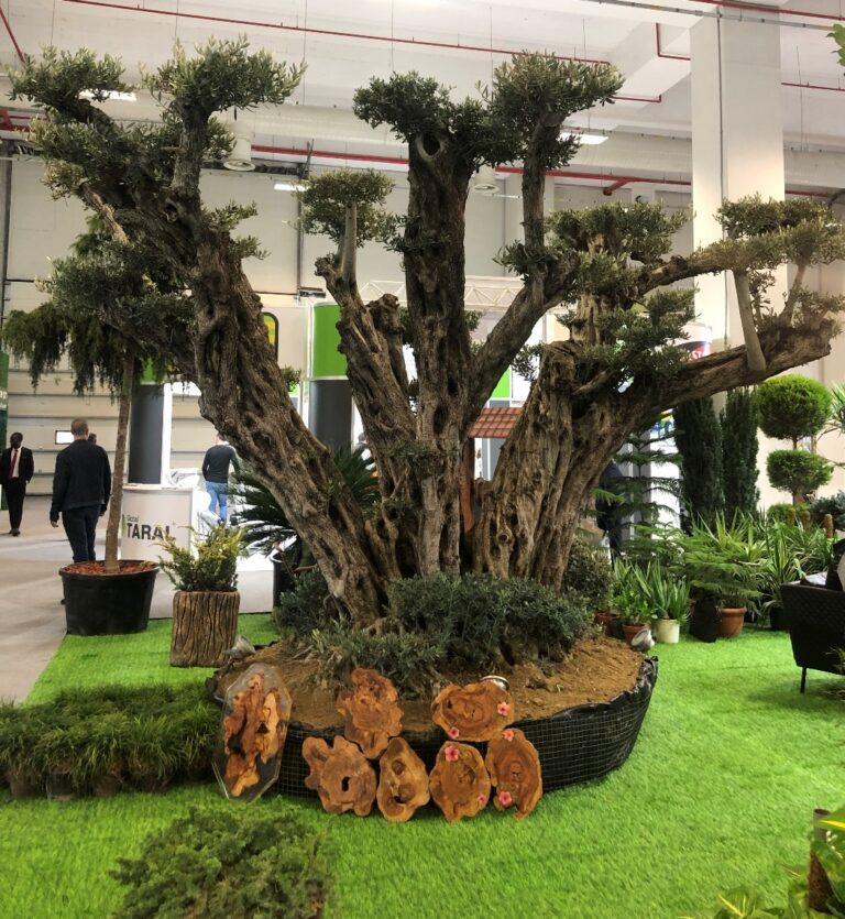 The Flower and Plant Show’un Hazırlıkları Başladı