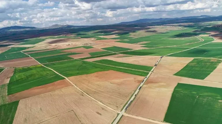 Tarla ve Arsa Satışları Rekor Kırdı