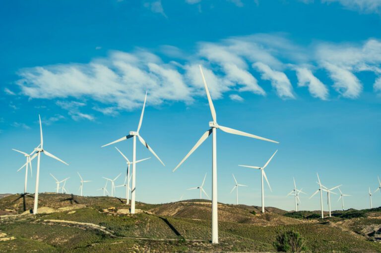 Küresel Elektrik Üretiminde Rüzgar ve Güneşin Payı Yüzde 14,3’e Ulaştı
