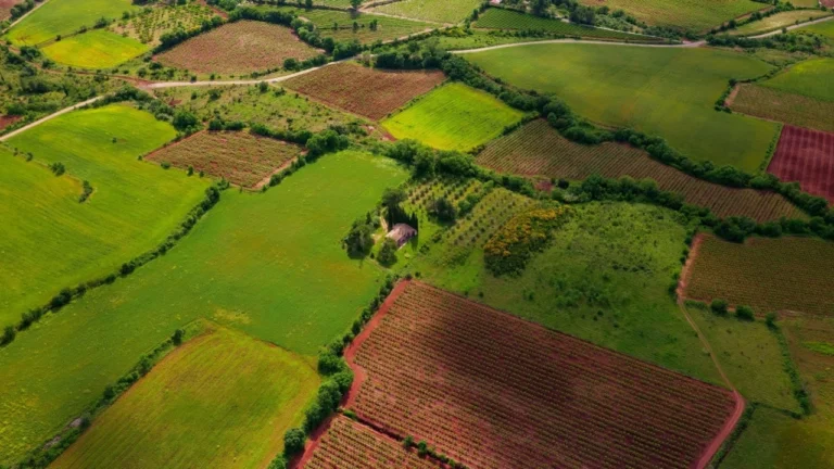 Arsa Yatırımları Artıyor