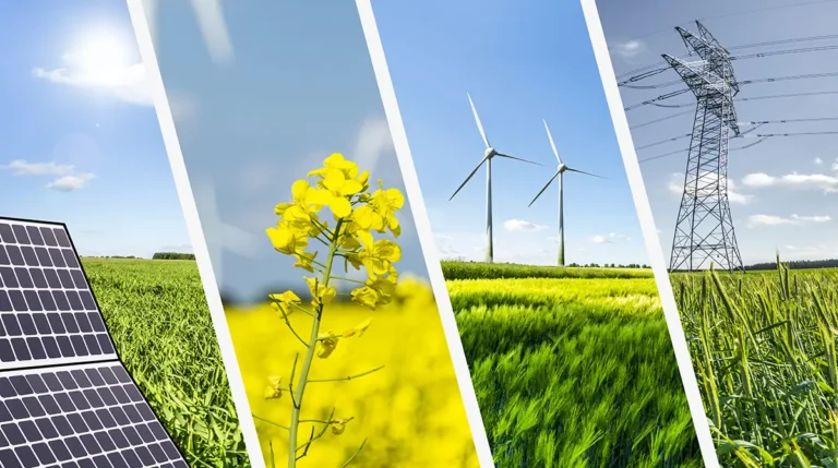 Küresel Yenilenebilir Enerji Kapasitesi 2023’a Kadar 2,5 Katına Çıkacak