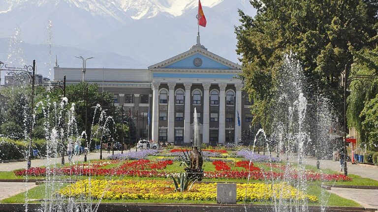 Türk Şirketleri Orta Asya’da Yatırım Radarında