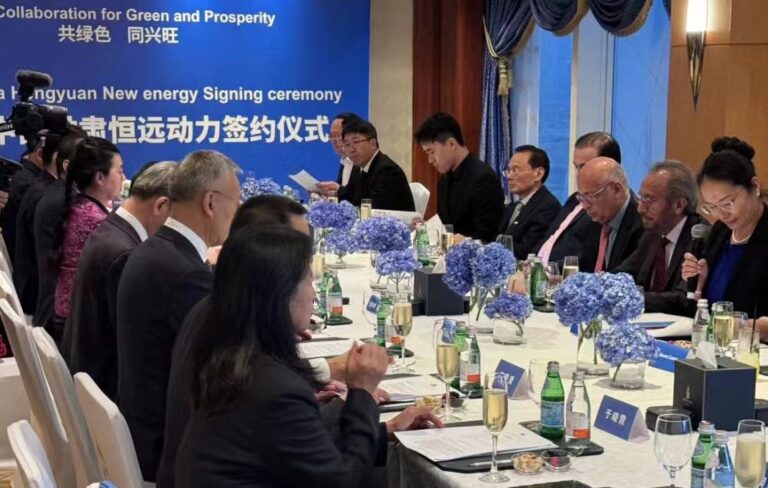 Gansu Hengyuan Dongli New Energy, Dünya Gelecek Enerji Zirvesine Katıldı ve Endüstriyel Yatırım Planını Açıkladı