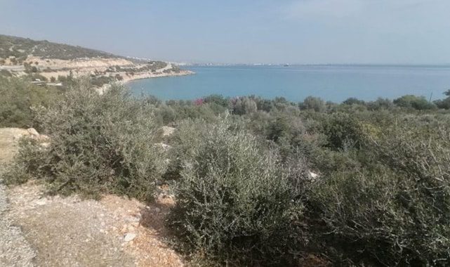 Mersin’e 384 milyon liraya 5 yıldızlı otel yapacak