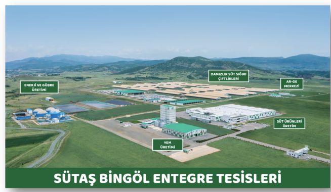 Sütaş mayası iyi tuttu, Bingöl’ü sıçrattı