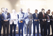 Afrika’da 2 bin 39 projeye Türkiye imzası