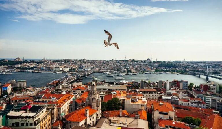 İstanbul’da Yapılması Planlanan 100 Bin Sosyal Konutun Nereye Yapılacağı Belli Oldu